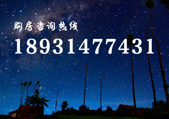 今年樓市調控政策落地近200次